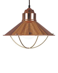 1-Light Dowd Pendant Home